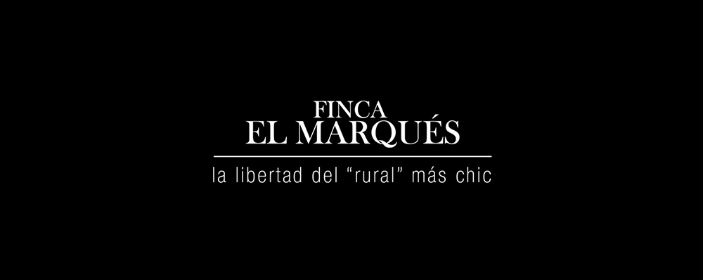 creación videos corporativos Zaragoza SinPalabras