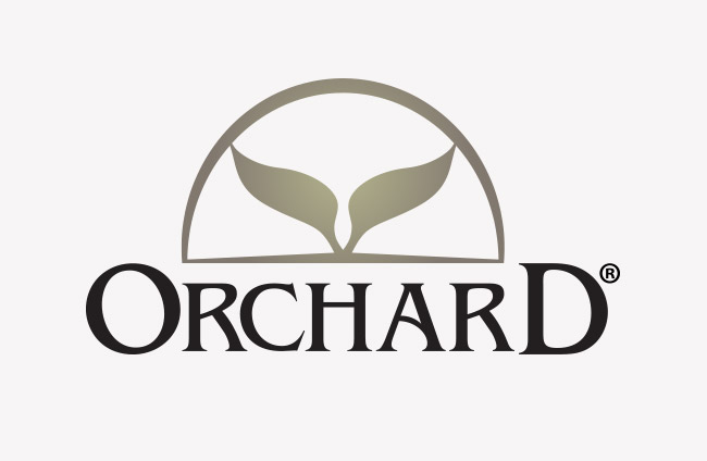 comunicación corporativa estudio de caso Orchard SinPalabras